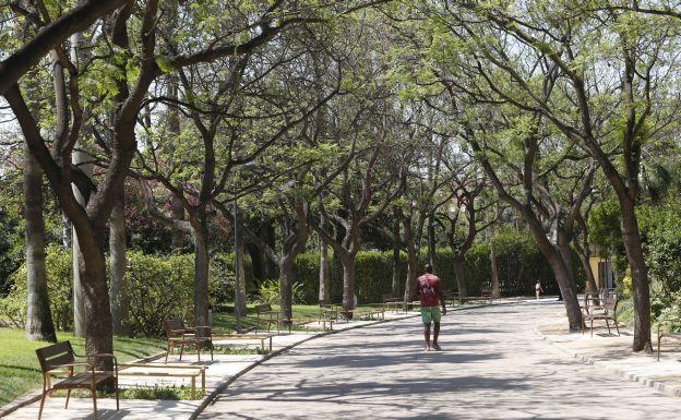 Benicalap y la Ciudad Fallera tendrán un jardín vertical, un pequeño bosque y un corredor verde