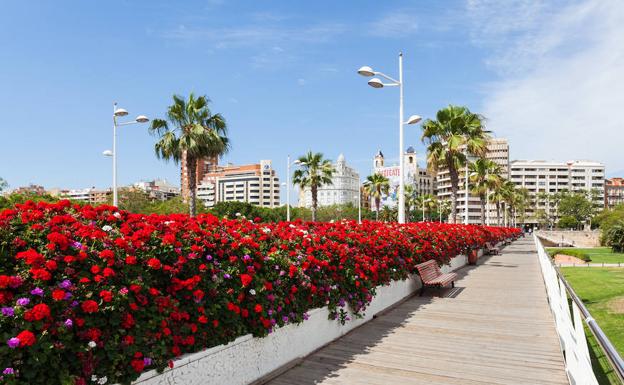 ¿Qué hacer este domingo 30 de septiembre en Valencia?