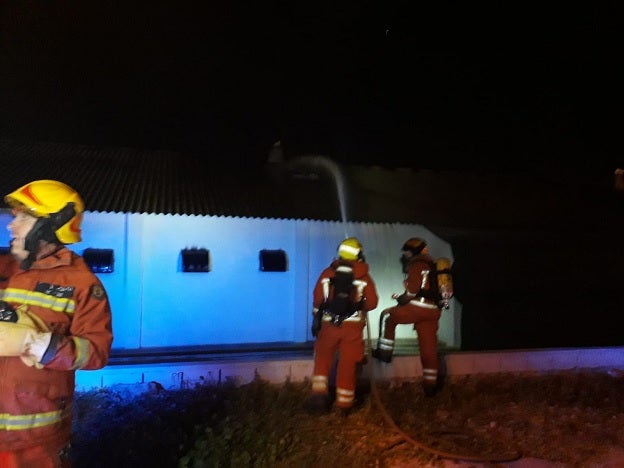 Un incendio calcina 42.000 pollos en una granja de Picassent