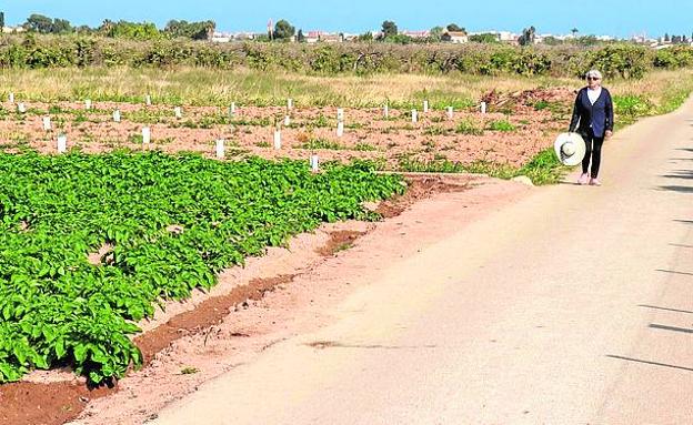 En marcha el observatorio ciudadano de la huerta