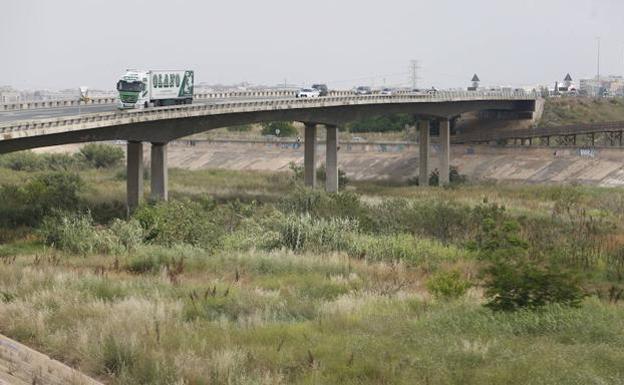 El PSPV pone reparos al corredor verde de Ribó en el nuevo cauce