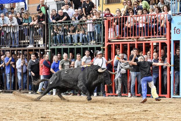 Onda, corazón taurino