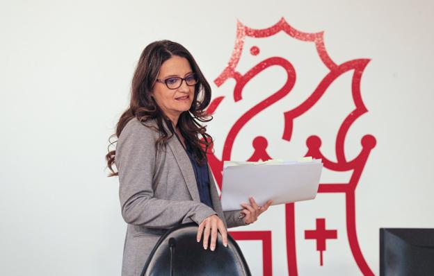 Un voto particular en el Comité Económico critica la reversión de las residencias