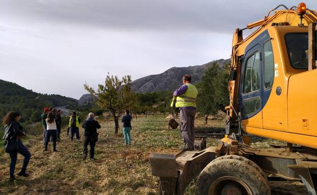 Paralizan los trabajos de arranque de almendros en Benissa de la campaña contra la xylella