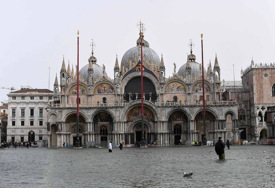 Venecia bajo el agua