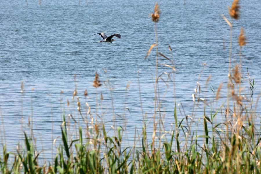 Cinco escapadas para disfrutar de la naturaleza cerca de Valencia