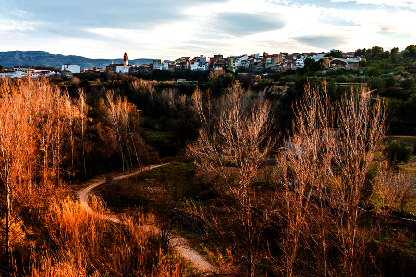 17 bosques valencianos para una escapada de otoño