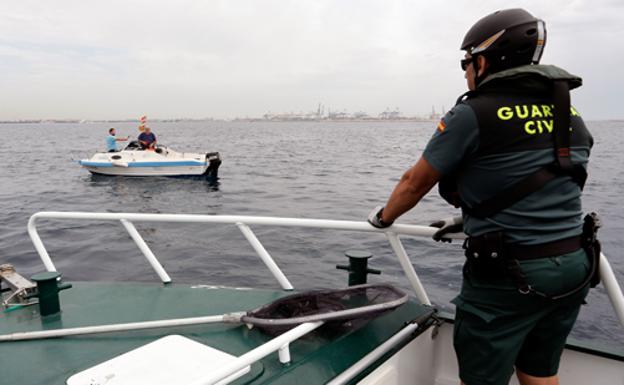 Intervenidos 84 kilos de pulpo inmaduro en Castellón y Peñíscola