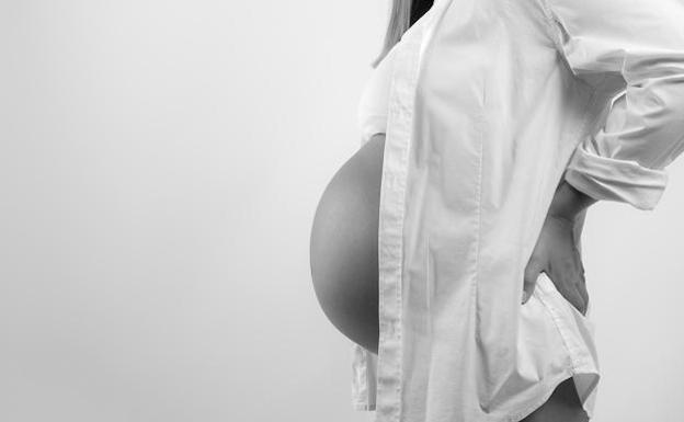 Suspendida la jornada comercial sobre vientres de alquiler por el «revuelo» generado en su contra