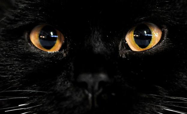 Las supersticiones del martes 13