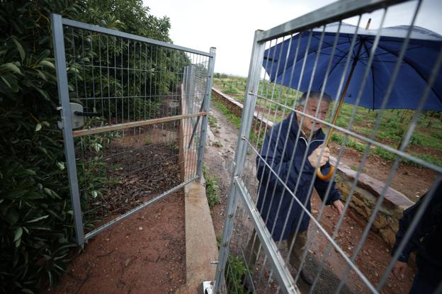 Los agricultores vigilan día y noche sus cosechas para que no se las roben