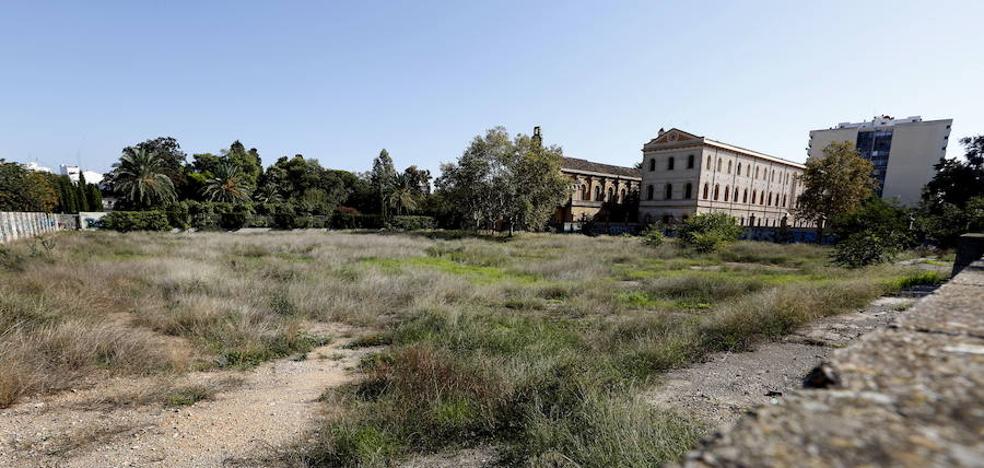 Ayuntamiento y Universitat hacen tabla rasa con la ampliación del Botánico