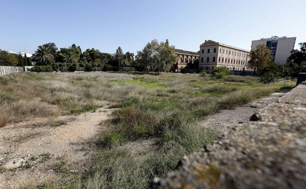 Ayuntamiento y Universitat hacen tabla rasa con la ampliación del Botánico