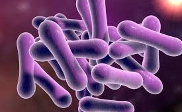 Qué es la difteria y cuáles son sus síntomas