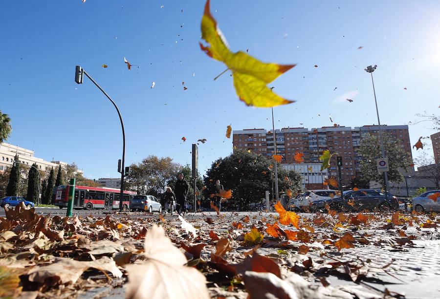 Alerta en Valencia por fuertes vientos de más de 100 km/h