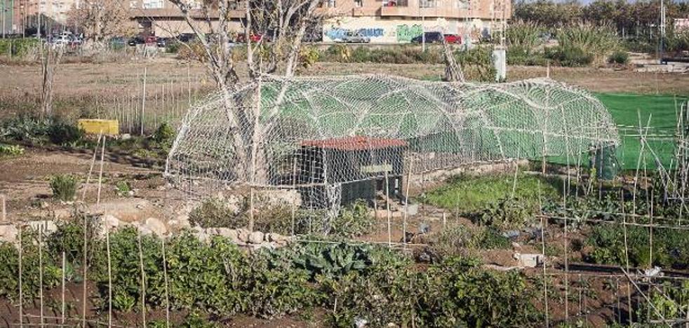 El Consell bloquea la construcción en 15 millones de metros cuadrados de l'Horta