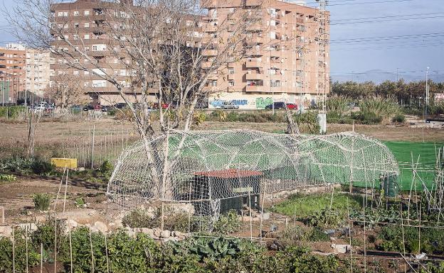 El Consell bloquea la construcción en 15 millones de metros cuadrados de l'Horta