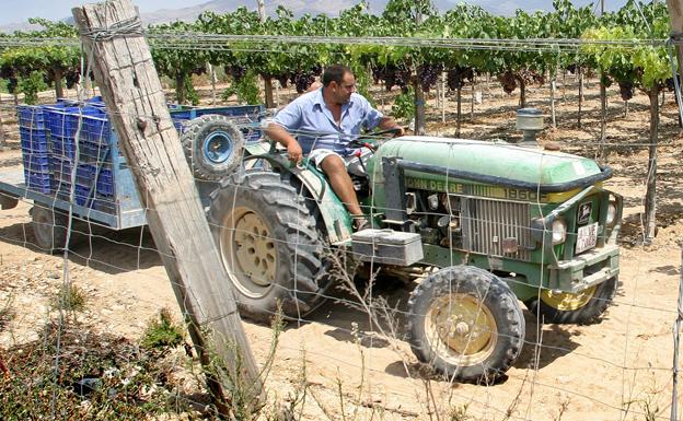 Investigan la apropiación indebida de un tractor agrícola en Cabanes