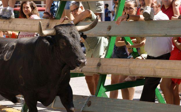 Agenda de los bous al carrer este fin de semana en la Comunitat Valenciana