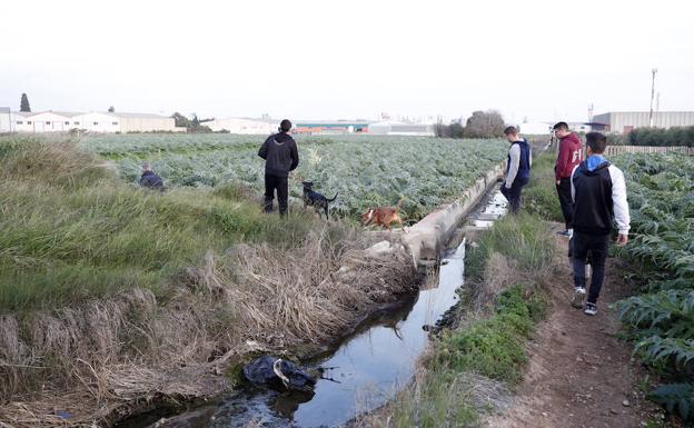 Solidaridad para buscar a Manola