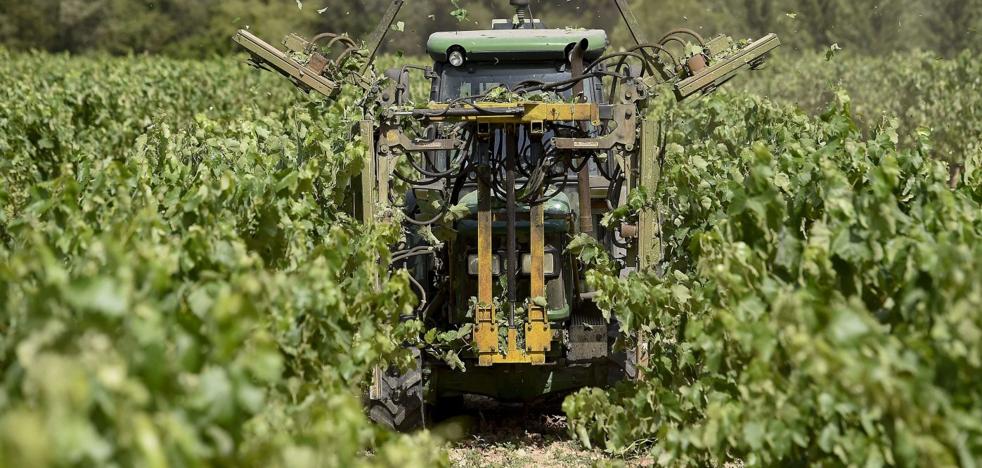 El Gobierno reabre la guerra del cava al limitar un mayor crecimiento fuera de Cataluña