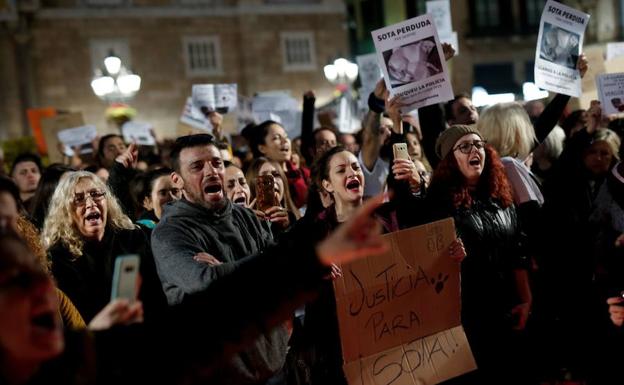 Indignación en Barcelona por la muerte a tiros de la perra 'Sota'