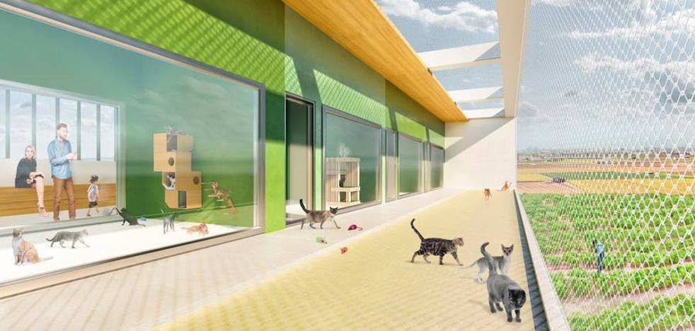 El nuevo refugio de animales de Valencia será visitable y tendrá espacio para cerca de 200 mascotas