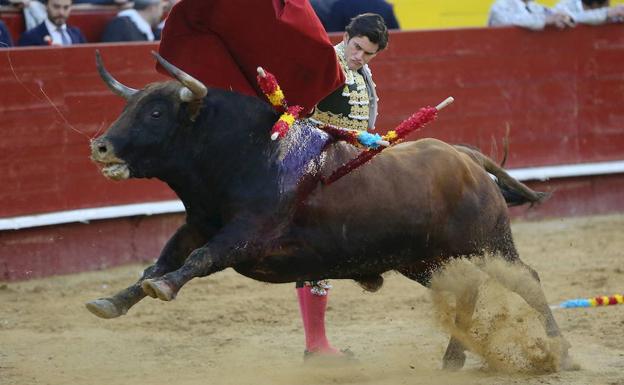 Varapalo judicial al Ayuntamiento de Villena por oponerse a la tauromaquia