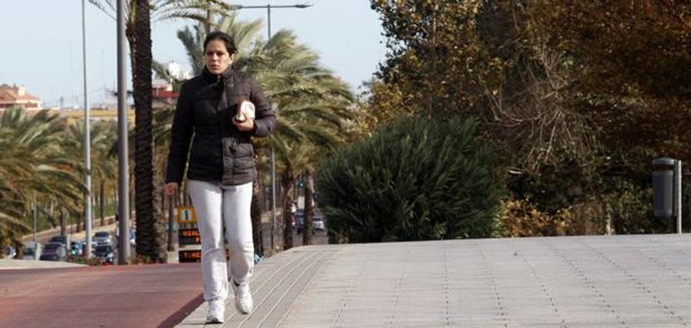 Cierran al público los parques y jardines con valla por la alerta de fuerte viento en Valencia
