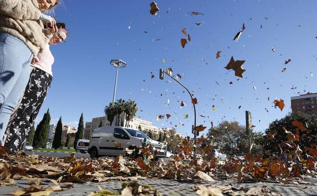 El viento alcanza en Chiva los 121 kilómetros por hora