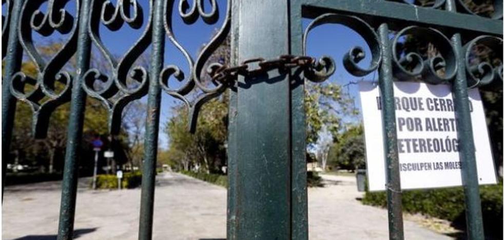 Tejados de aluminio, árboles caídos y carteles sueltos copan los servicios por el viento en Valencia
