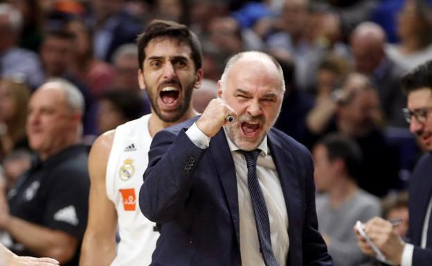 Laso: «El equipo ha estado muy serio»