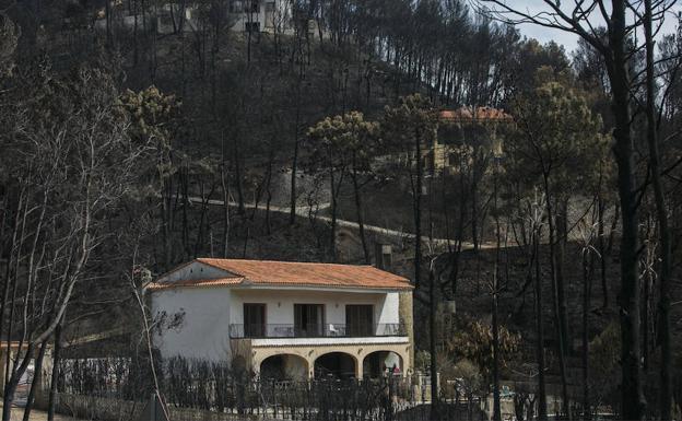 Un juzgado investiga a los responsables de la gestión en el incendio de Gandia