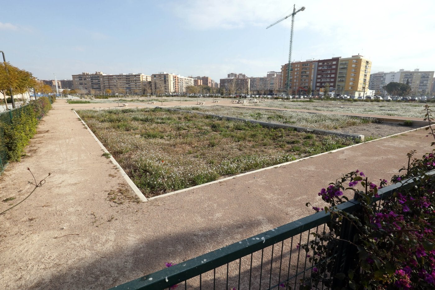 El fiasco de los huertos urbanos en Valencia