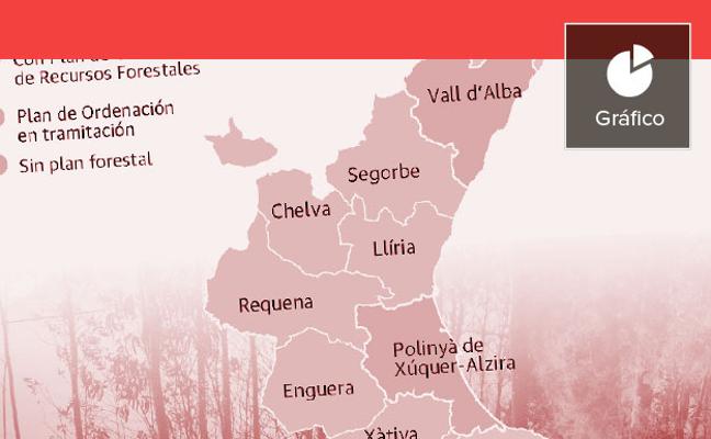 El monte valenciano, sin protección