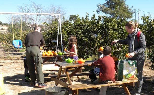 Agricultor por un día en Valencia (gratis para los niños)