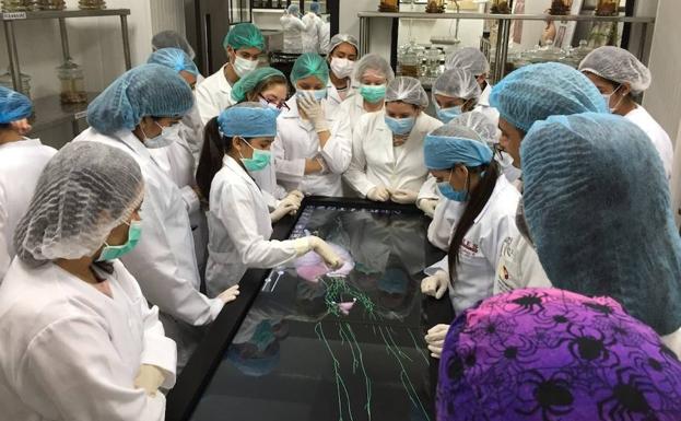 Maité, una superdotada de 12 años, quiere entrar en Medicina