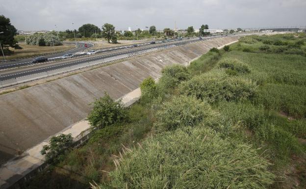 Ecologistas piden incluir un nuevo cauce dentro del Parque Natural del Turia