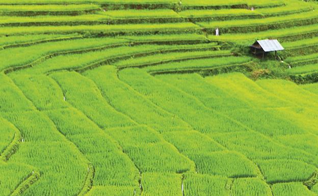 Mae Hong Son, el paraíso tailandés protegido por la niebla