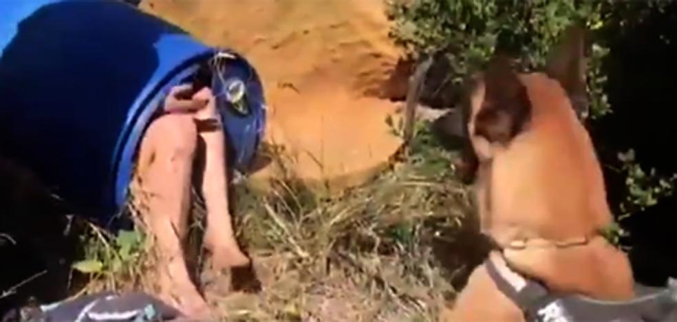 Vídeo: Así encontró la Guardia Civil a la madre de los niños asesinados en Godella
