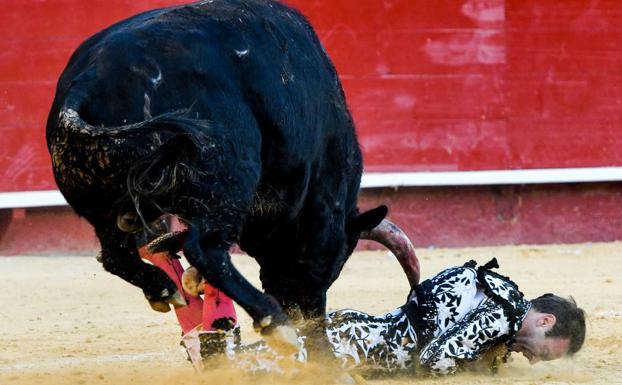 Cartel de toros de la Magdalena 2019 en Castellón