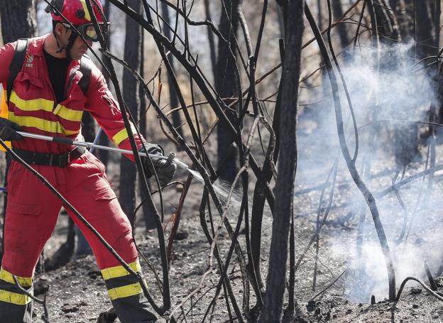 Medio Ambiente planea prohibir que los agentes forestales actúen en los incendios