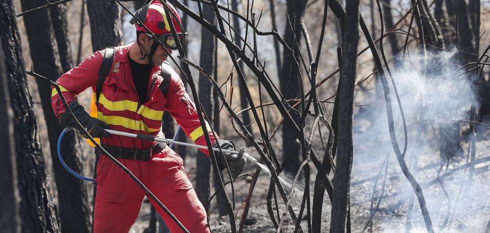 Medio Ambiente planea prohibir que los agentes forestales actúen en los incendios