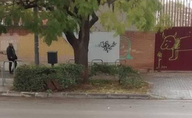 Apalean y matan a tres crías de gato frente a un colegio de Valencia