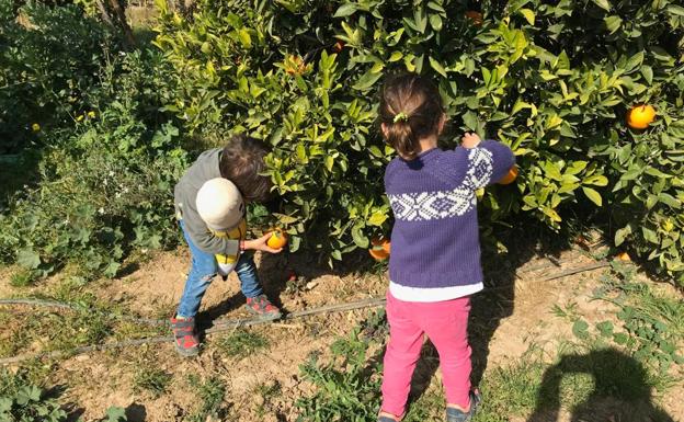 Agricultor a distancia y otras formas de acercase hasta la huerta en Valencia