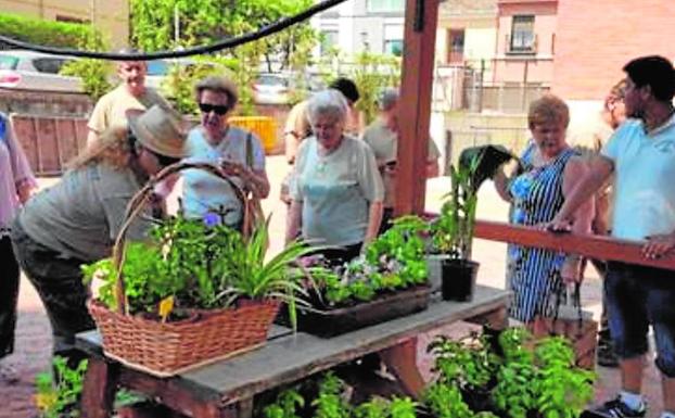 'Rocafort Verd' conciencia sobre el medio ambiente