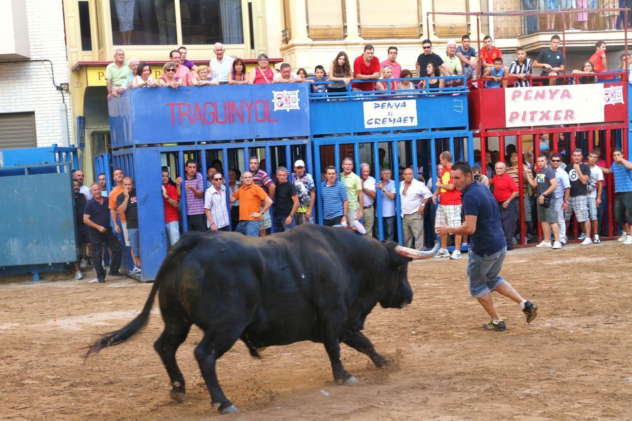 Toros - bous al carrer: lo que dicen en su programa electoral Vox, PACMA, PP, PSPV, Compromís, Podemos y Ciudadanos en 2019