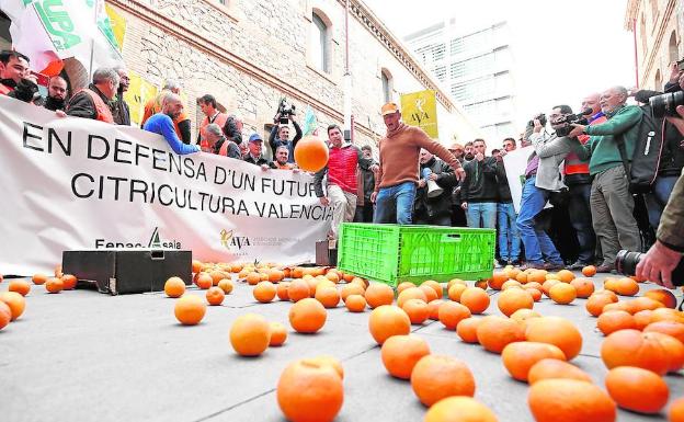 El concurso de acreedores de Fruterca deja a 300 agricultores sin cobrar sus cosechas