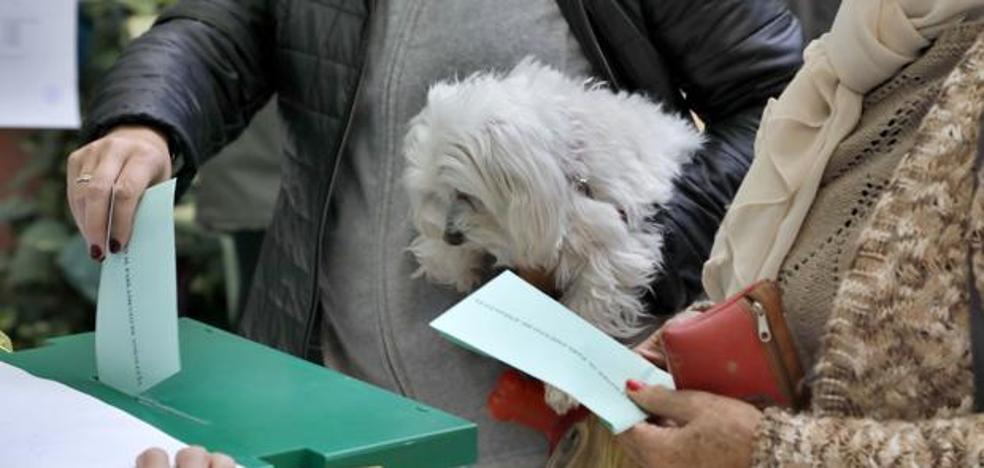 Qué son las encuestas 'israelitas' y por qué se llaman así