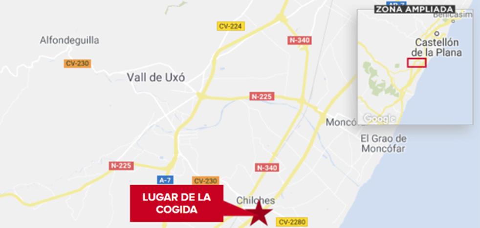Muere un joven de 19 años corneado por un toro en Xilxes